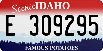 ID license plate E309295