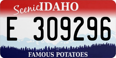 ID license plate E309296