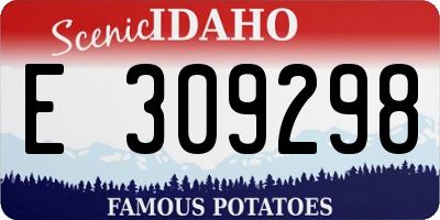 ID license plate E309298