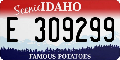 ID license plate E309299