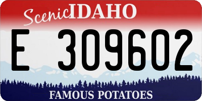 ID license plate E309602