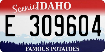ID license plate E309604