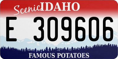 ID license plate E309606