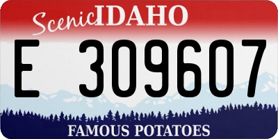 ID license plate E309607