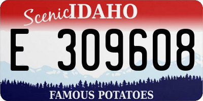 ID license plate E309608