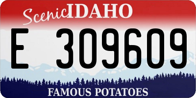 ID license plate E309609
