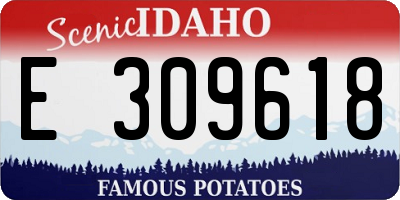 ID license plate E309618