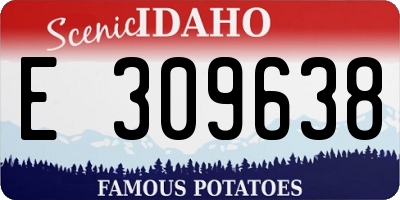 ID license plate E309638