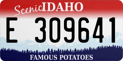 ID license plate E309641
