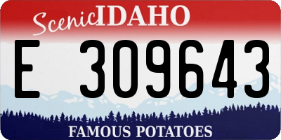 ID license plate E309643