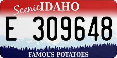ID license plate E309648