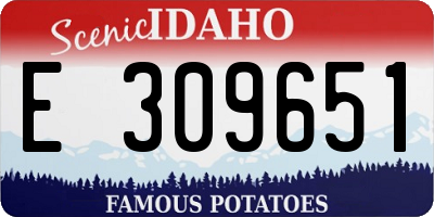 ID license plate E309651