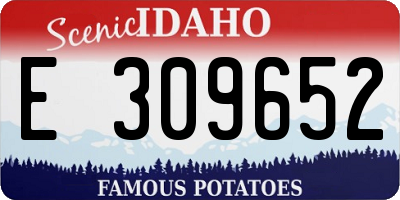 ID license plate E309652