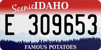 ID license plate E309653