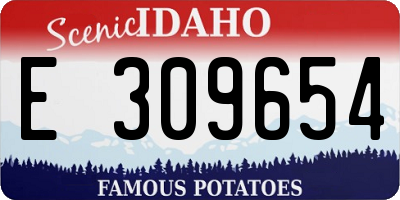 ID license plate E309654