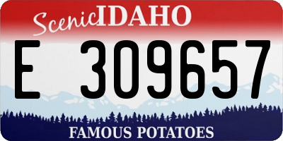 ID license plate E309657