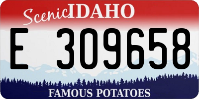 ID license plate E309658