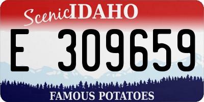 ID license plate E309659