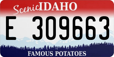 ID license plate E309663