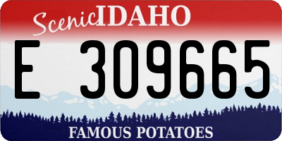 ID license plate E309665