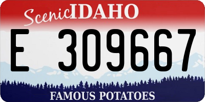 ID license plate E309667