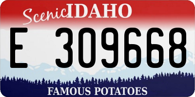 ID license plate E309668