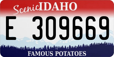 ID license plate E309669