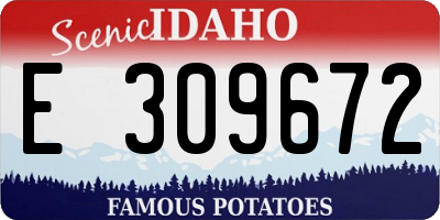 ID license plate E309672