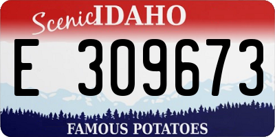 ID license plate E309673
