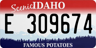 ID license plate E309674