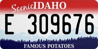 ID license plate E309676