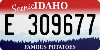ID license plate E309677