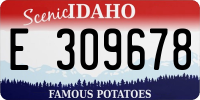 ID license plate E309678
