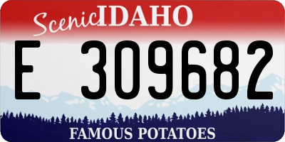 ID license plate E309682
