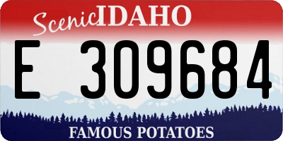 ID license plate E309684