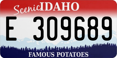ID license plate E309689