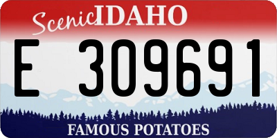 ID license plate E309691