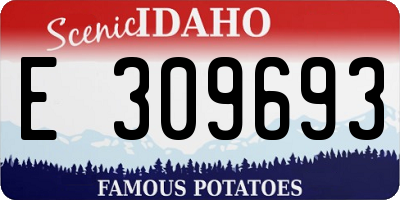 ID license plate E309693