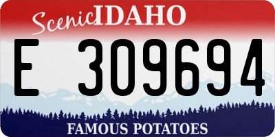 ID license plate E309694