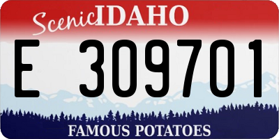 ID license plate E309701