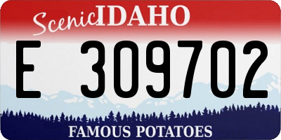 ID license plate E309702