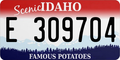 ID license plate E309704