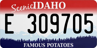 ID license plate E309705