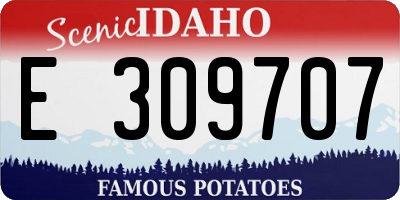 ID license plate E309707