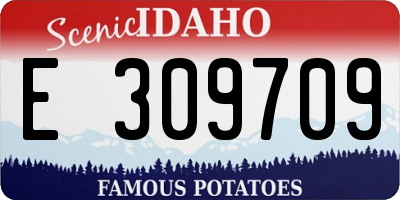 ID license plate E309709