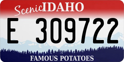 ID license plate E309722