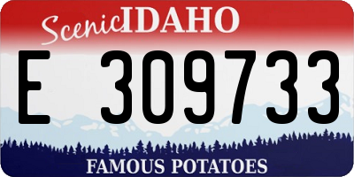 ID license plate E309733