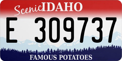 ID license plate E309737