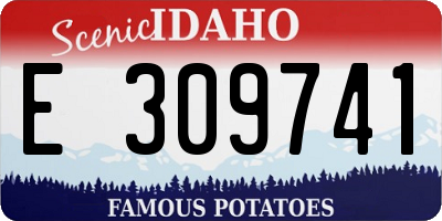 ID license plate E309741