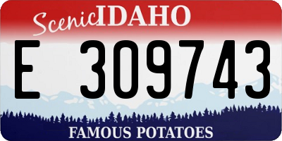 ID license plate E309743